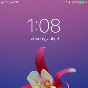 Meet your Posher, Sandy